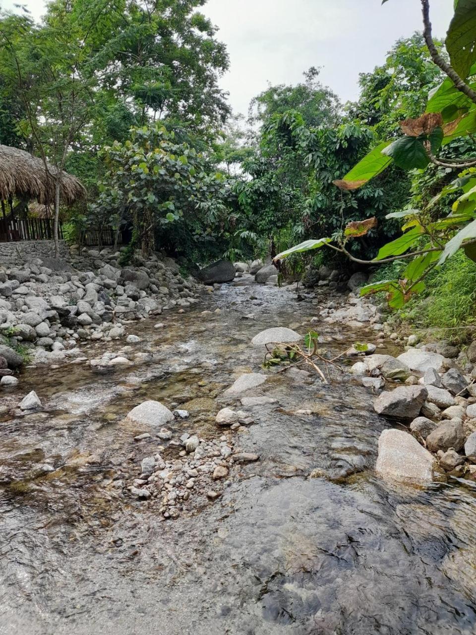 Khach San Vuon Quoc Gia Ba Be Hotel Bac Kan ภายนอก รูปภาพ