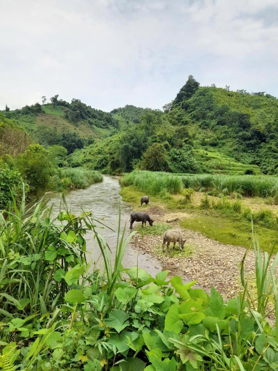 Khach San Vuon Quoc Gia Ba Be Hotel Bac Kan ภายนอก รูปภาพ
